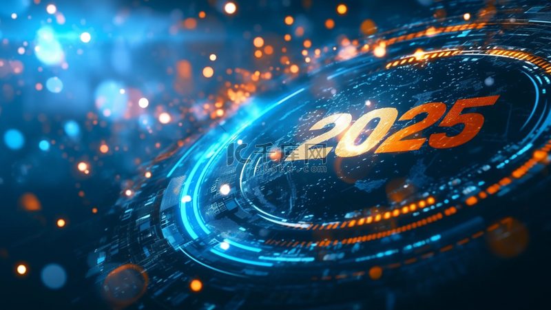 定制化与标准化：教育机构数字化解决方案的差异化选择**